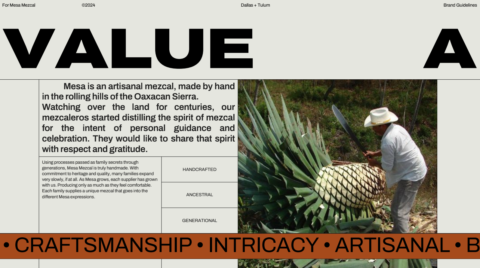 Sneak peak at branding guidelines created for Mesa Mezcal.