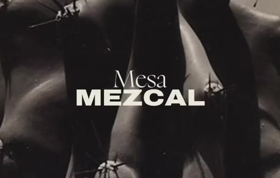 Mesa Mezcal branding guidelines sneak peak. 